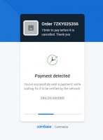 Payment has to be detected within 15 minutes after order confirmation
